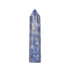 Point Tower Natural Natural Blue Spot Jasper Home Display Decoration PW-WG24364-05-1
