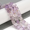 Natural Amethyst Beads Strands G-G053-B13-01C-2