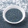 MIYUKI Round Rocailles Beads X-SEED-G007-RR0249-2