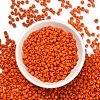 6/0 Opaque Colours Round Glass Seed Beads X-SEED-A010-4mm-50-2