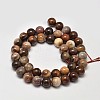 Natural Petrified Wood Round Bead Strands G-F266-08-8mm-3