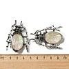 Dual-use Items Alloy Insects Brooch JEWB-C026-05N-AS-3