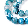 Dyed & Heated Natural Fire Crackle Agate Beads Strands G-N359-01B-06-4
