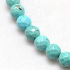 Natural Howlite Round Beads Strands X-TURQ-L017-6mm-01B-2