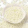 6/0 Glass Seed Beads SEED-M012-01A-10-2