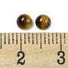 Natural Tiger Eye Cabochons G-H309-03-40-3