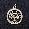 304 Stainless Steel Pendants STAS-T046-JA350-2A-1