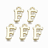 Alloy Charms LS-PALLOY-Q441-025F-NR-1