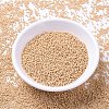 MIYUKI Delica Beads LS-X-SEED-J020-DB0389-2