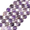 Natural Amethyst Beads Strands G-A292-A08-01-3