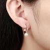 Fashion Popular Brass Micro Pave Cubic Zirconia Hoop Earrings EJEW-BB15421-6