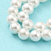 Electroplated Shell Pearl Beads Strands SHEL-F008-03A-01-4