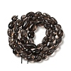 Natural Obsidian Beads Strands G-P497-01A-15-4