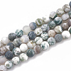 Natural Tree Agate Beads Strands X-G-T106-038-1