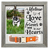 MDF Pet Photo Frames DIY-WH0525-005-1