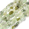 Natural Prehnite Beads Strands G-F521-29-1