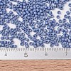 MIYUKI Delica Beads SEED-J020-DB2318-4