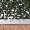 MIYUKI Delica Beads SEED-J020-DB2291-4