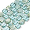 Natural Glass Beads Strands G-Z106-E01-2