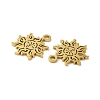 Ion Plating(IP) 304 Stainless Steel Charms X-STAS-J042-04G-2