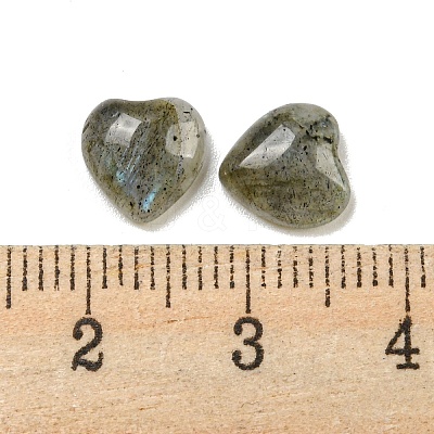 Natural Labradorite Cabochons G-H309-01-07-1