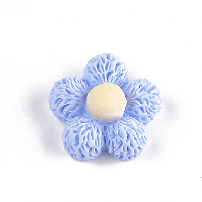 Resin Cabochons CRES-T010-47E-1