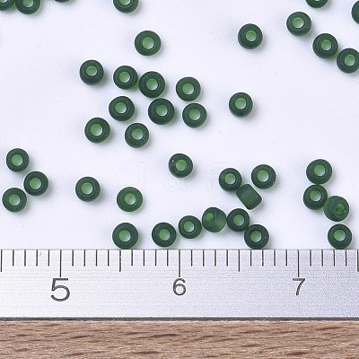 MIYUKI Round Rocailles Beads SEED-G007-RR0156F-1