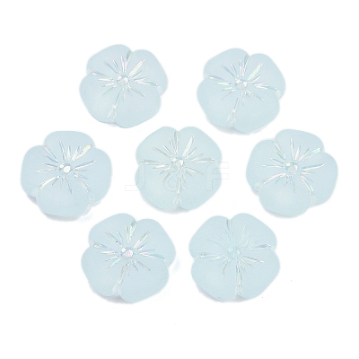 Frosted Transparent Acrylic Beads X1-OACR-P029-19B-06-1