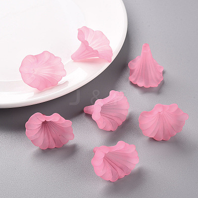 Transparent Acrylic Beads X-BSF796-C10-1