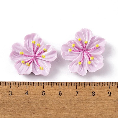 Resin Cabochons OACR-U002-03E-1