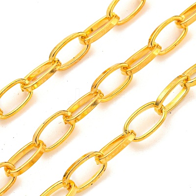 Iron Paperclip Chains CH-R025-10x5mm-G-1