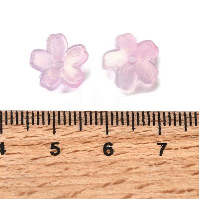 Acrylic Bead Caps OACR-I024-01D-1