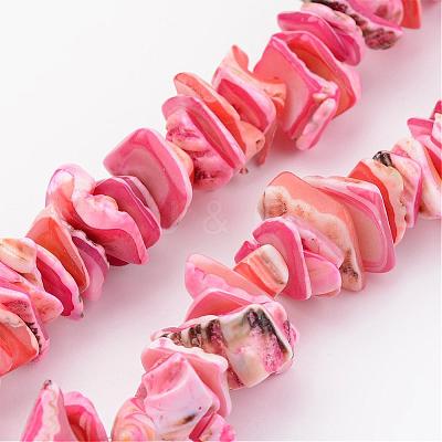 Natural Shell Bead Strands BSHE-P010-10-1