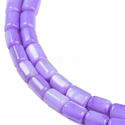Natural Freshwater Shell Beads Strands BSHE-H109-17C-1