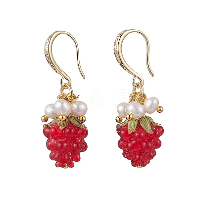 Handmade Lampwork Dangle Earrings EJEW-JE06623-1