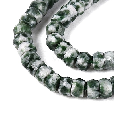 Natural Green Spot Jasper Beads Strands G-Q606-46A-07-1