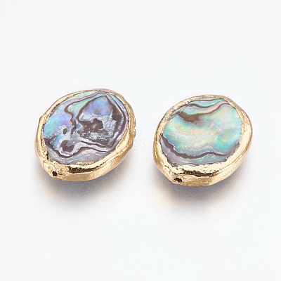 Natural Abalone Shell/Paua Shell Beads G-O168-13G-1
