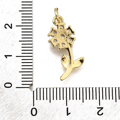 Rack Plating Brass Micro Pave Cubic Zirconia Pendants KK-K401-50B-G-1
