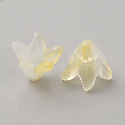 Handmade Lampwork Beads Cap LAMP-TAC0006-08F-1