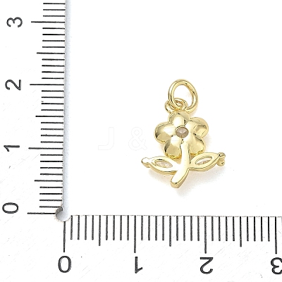 Brass with Rhinestone Charms KK-CBAD872-01G-10-1