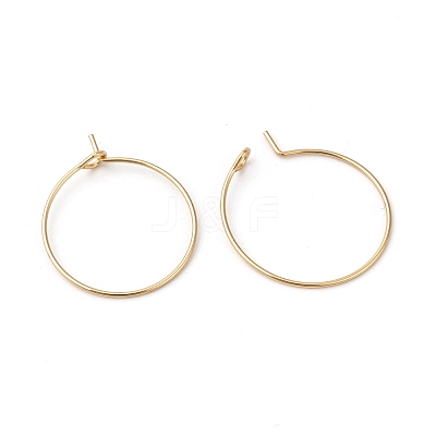 316L Surgical Stainless Steel Hoop Earring Findings STAS-G229-07G-01A-1