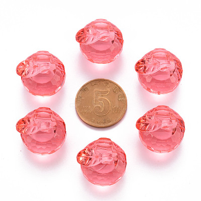 Transparent Acrylic Pendants TACR-T024-05B-910-1