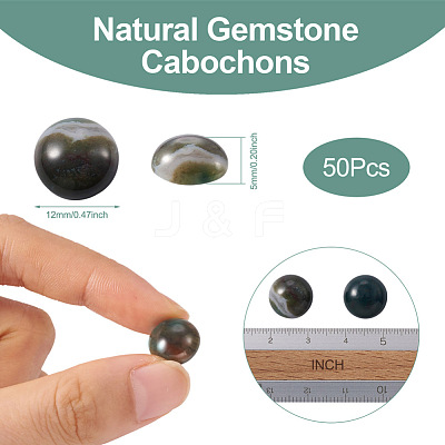 Natural Indian Agate Cabochons G-R416-12mm-14-1