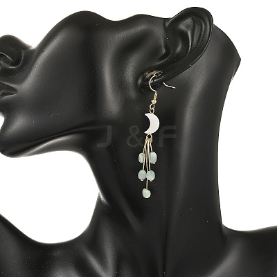 304 Stainless Steel Glass Dangle & Drop Earrings EJEW-JE07525-1
