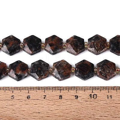 Natural Labradorite Beads Strands G-N368-01A-20-1