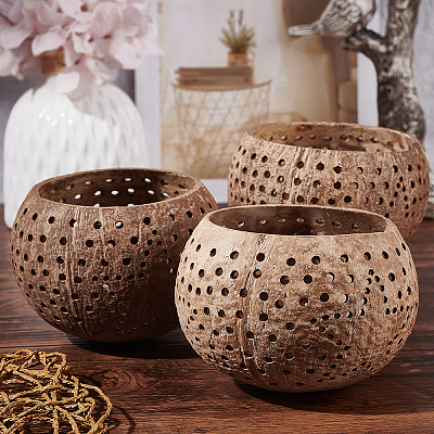 Hollow out Coconut Shell Candle Cup DIY-WH0260-82-1