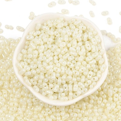 Baking Paint Glass Seed Beads SEED-L011-09A-17-1