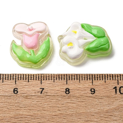 Transparent Resin Cabochons CRES-I046-09-1