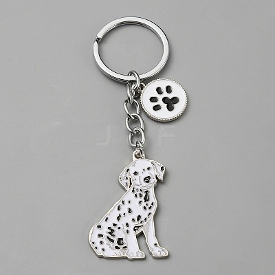 Alloy Keychain KEYC-SZC0006-01L-1