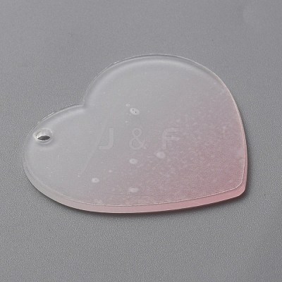 Gradient Transparent Acrylic Disc Big Pendants FIND-WH0032-54B-1